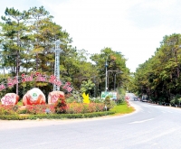 Tour Đảo Lý Sơn - Măng Đen 4 Ngày 3 Đêm đi từ Hà Giang