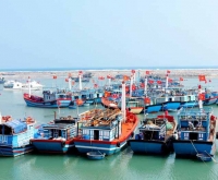 Tour Đảo Lý Sơn - Măng Đen 4 Ngày 3 Đêm đi từ Tuyên Quang