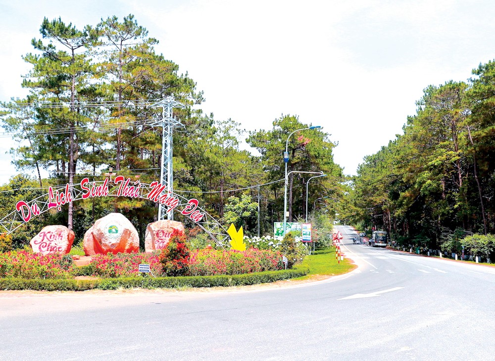 Tour Đảo Lý Sơn - Măng Đen 4 Ngày 3 Đêm đi từ Hà Giang