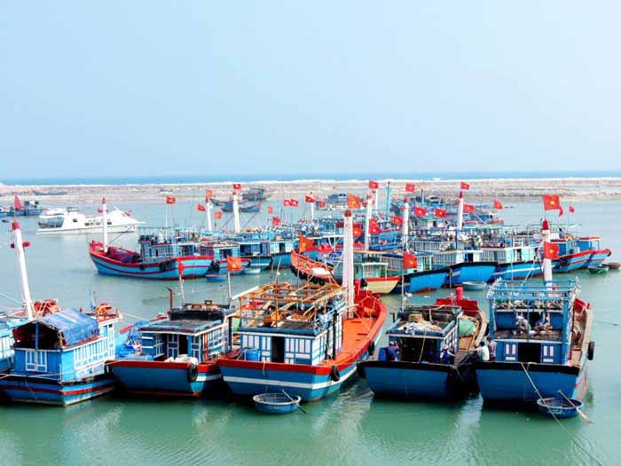 Tour Đảo Lý Sơn - Măng Đen 4 Ngày 3 Đêm đi từ Tuyên Quang