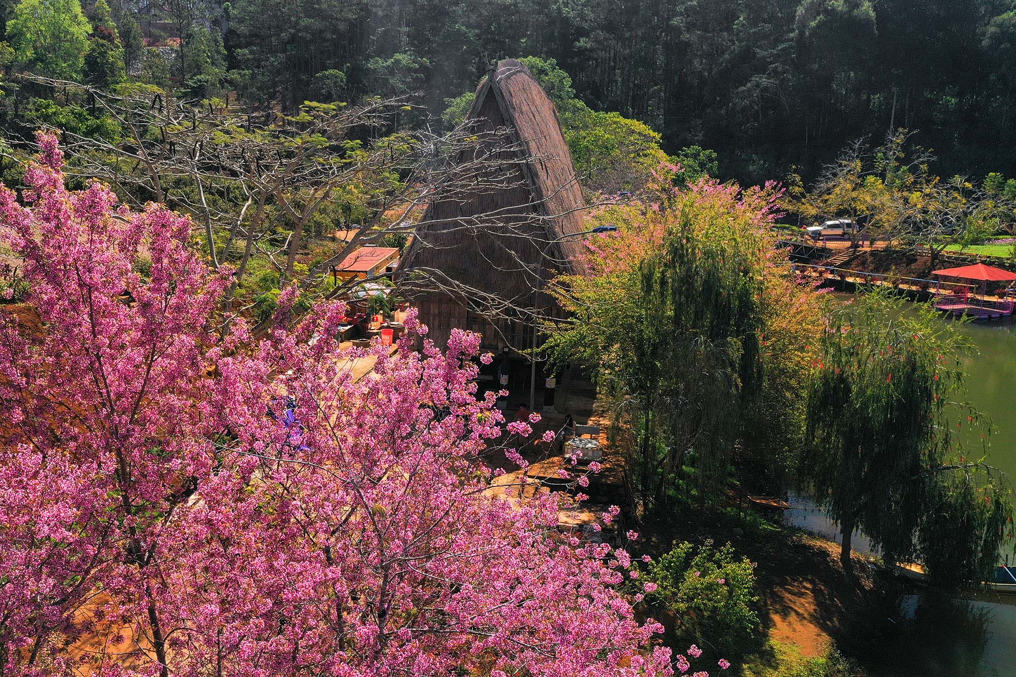 Tour Hưng Yên - Đảo Lý Sơn - Măng Đen 4 Ngày 3 Đêm