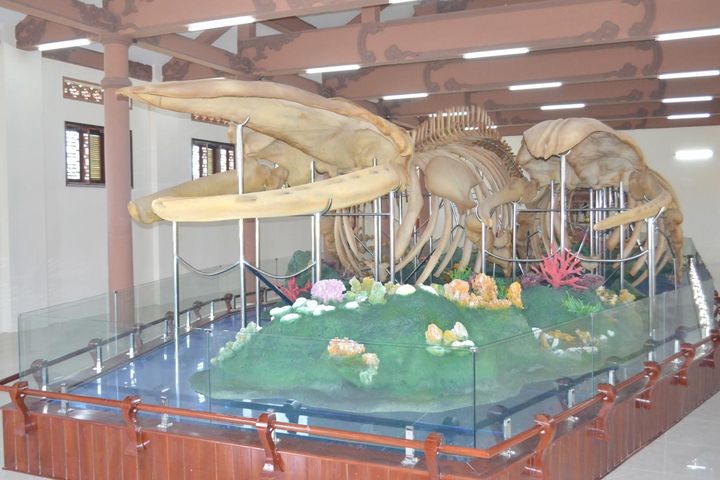 Tour Nam Định - Đảo Lý Sơn - Măng Đen 4 Ngày 3 Đêm