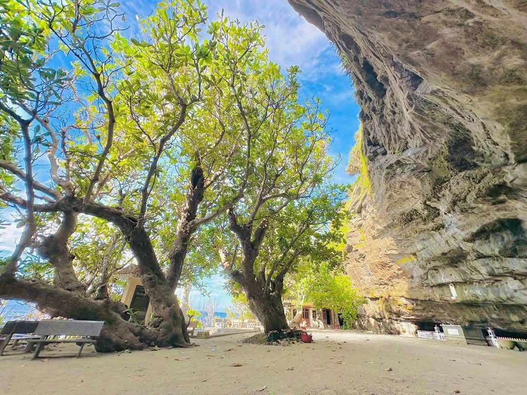 Top Những Trải Nghiệm Không Thể Bỏ Qua Khi Đến Lý Sơn