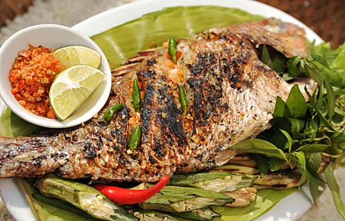 Cá Tà Ma Lý Sơn