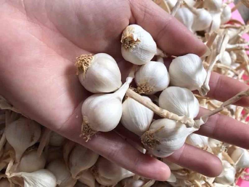 Đặc sản Lý Sơn Đặc sản Lý Sơn